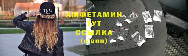 ГАЛЛЮЦИНОГЕННЫЕ ГРИБЫ Дмитриев