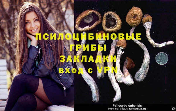 амф Билибино