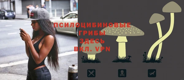 прущие крисы Нефтекумск