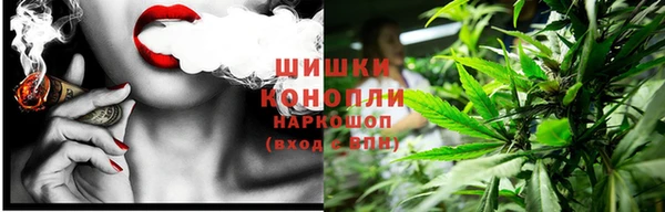 прущие крисы Нефтекумск