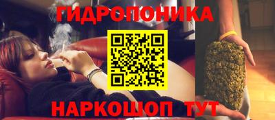 индика Ипатово