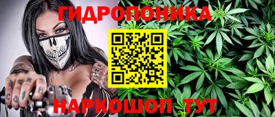 индика Ипатово