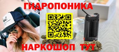 прущие грибы Изобильный