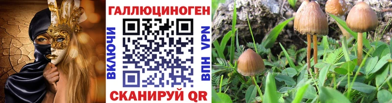 Галлюциногенные грибы Magic Shrooms  Лесозаводск 