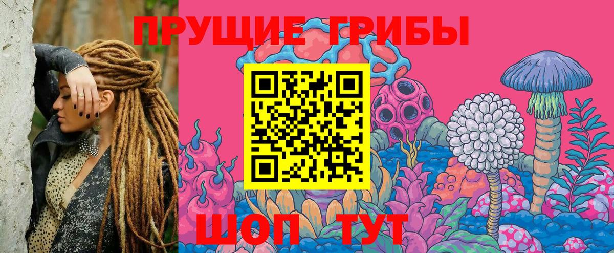 Галлюциногенные грибы Psilocybe  Галлюциногенные грибы ЛСД  Вход с VPN  Лесозаводск 