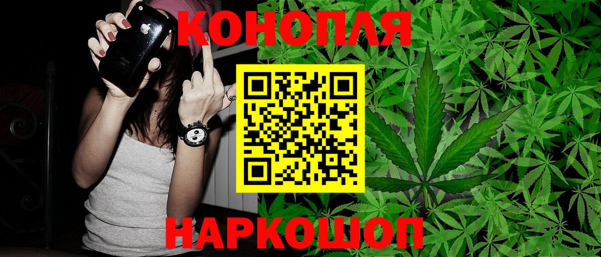 Бошки Шишки марихуана Лесозаводск